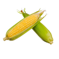 Sweet Corn UAE 🇦🇪
