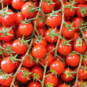 Tomato Cherry Organic Bunch Spain 🇪🇸