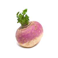 Turnip Organic Oman 🇴🇲