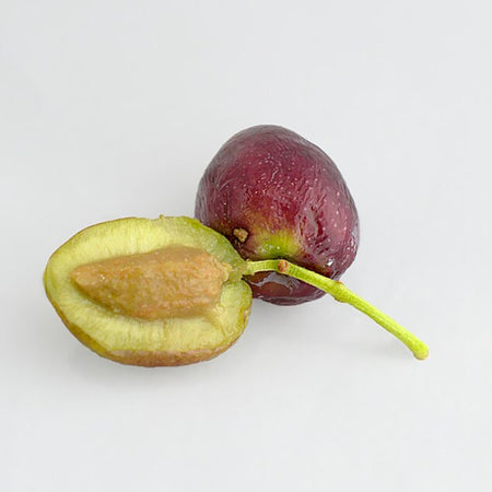 Olives (Fresh) (Jordan)