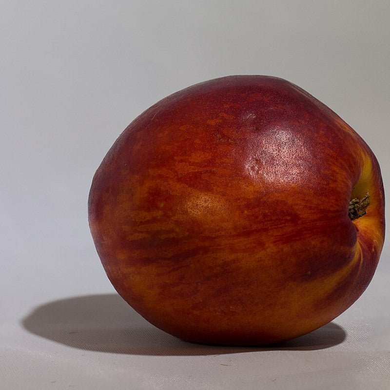 Nectarine (Jordan)