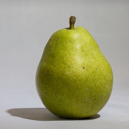 Pear - D'Anjou (USA)