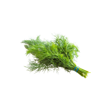 Dill (UAE)