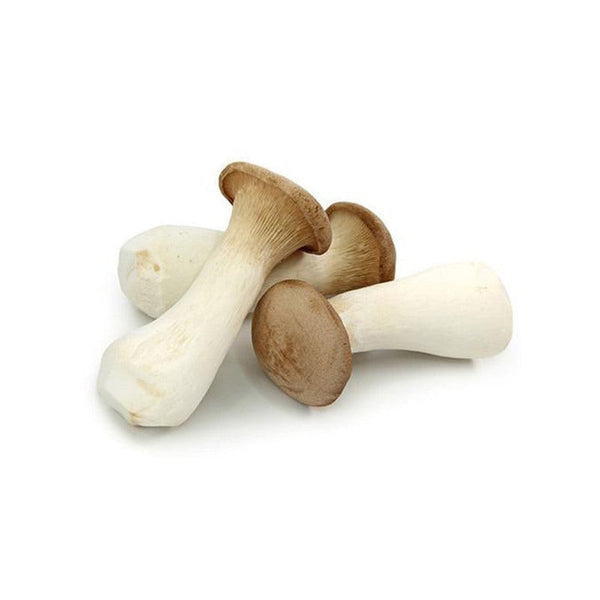 Mushroom - King Oyster (China)