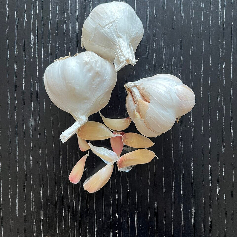 Garlic (China)