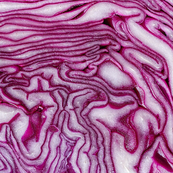 Cabbage - Red (Oman)