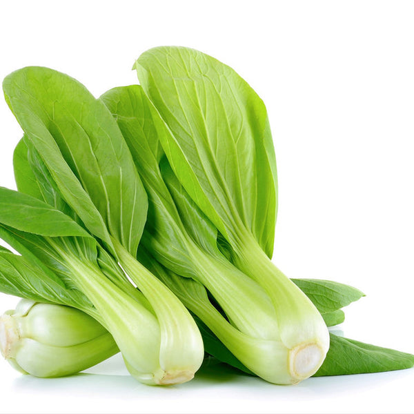 Bok Choy (Pak Choi) (China)