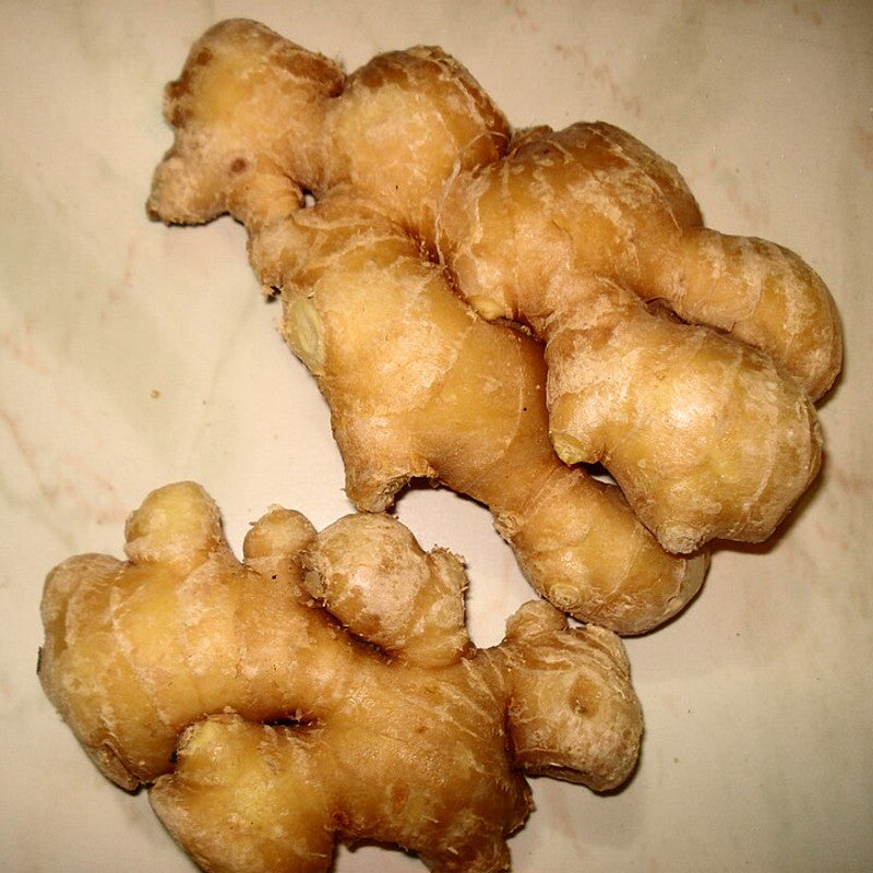 Ginger (China)