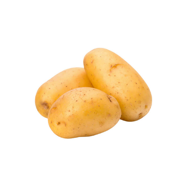 Potato - Agria (Netherlands)