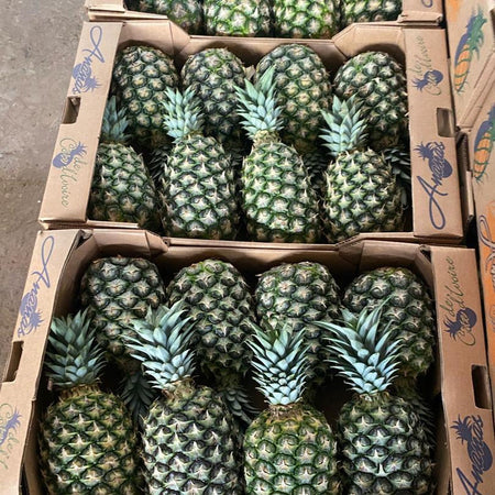 Pineapple - Honeyglow (Kenya, Bulk Box)