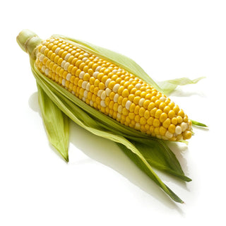 Corn & Sprouts