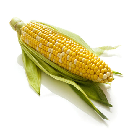 Sweet Corn (UAE)