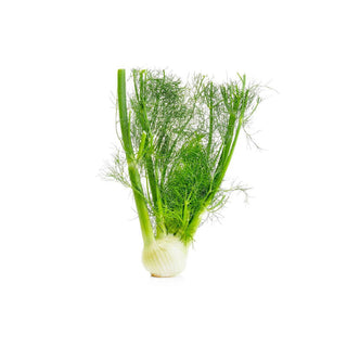 Celery, Fennel & Asparagus