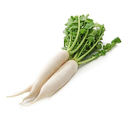 Radish - White (UAE)