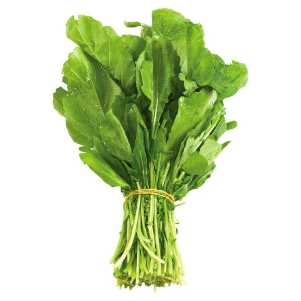 Rocket (Arugula) (UAE, Ready to Use)