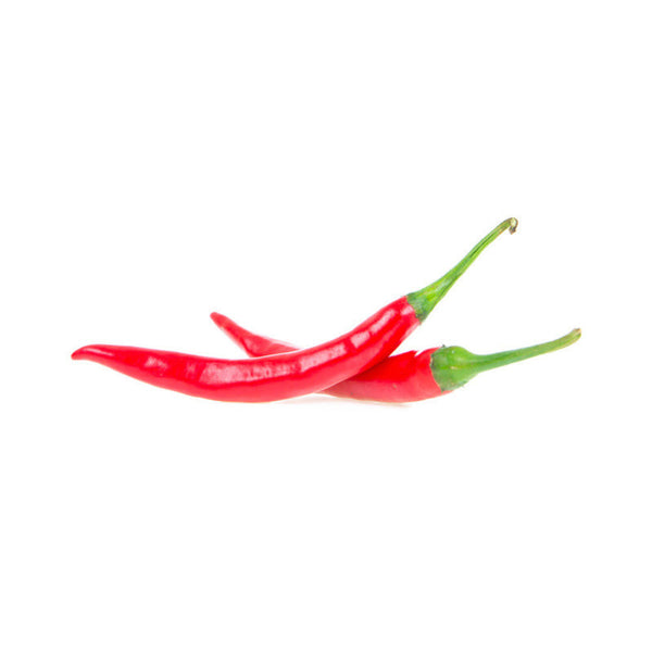 Chilli - Red (Netherlands)