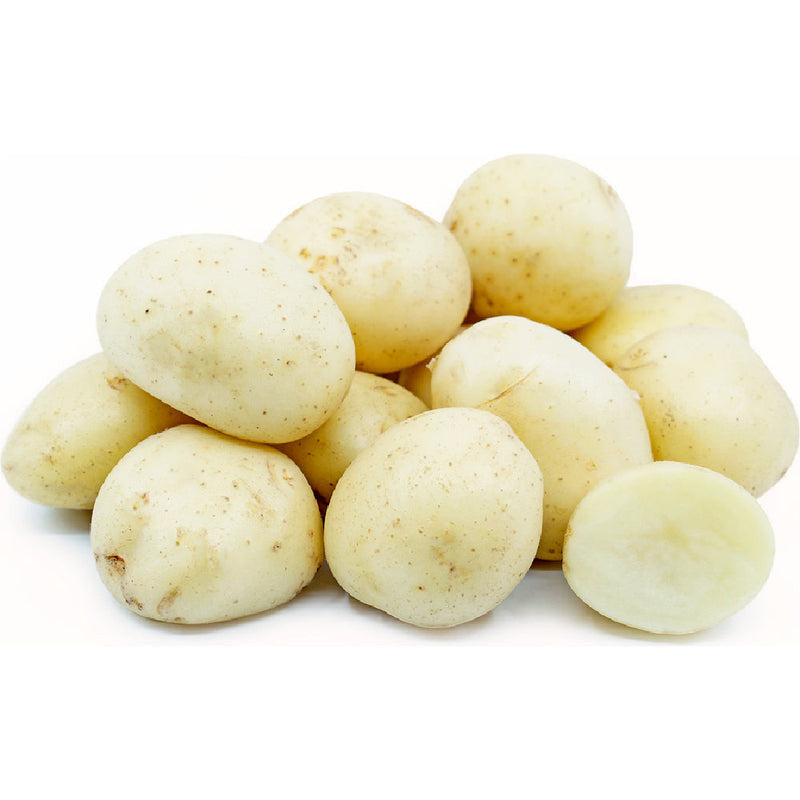 Potato - Chat White (Australia)