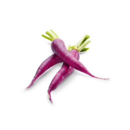 Carrot - Mini Purple (South Africa)
