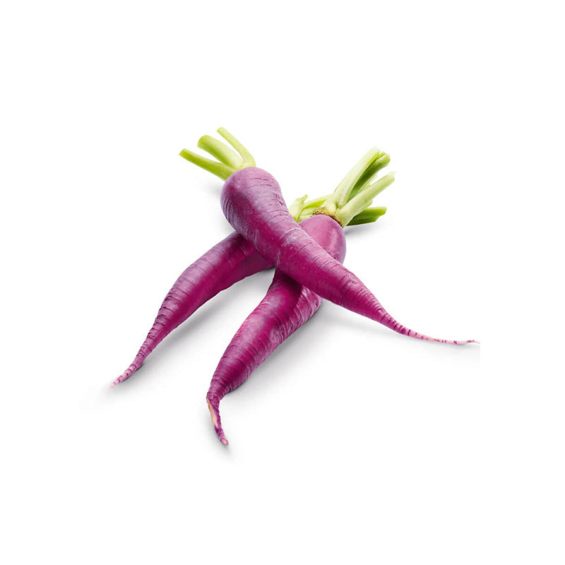 Carrot - Mini Purple (South Africa)