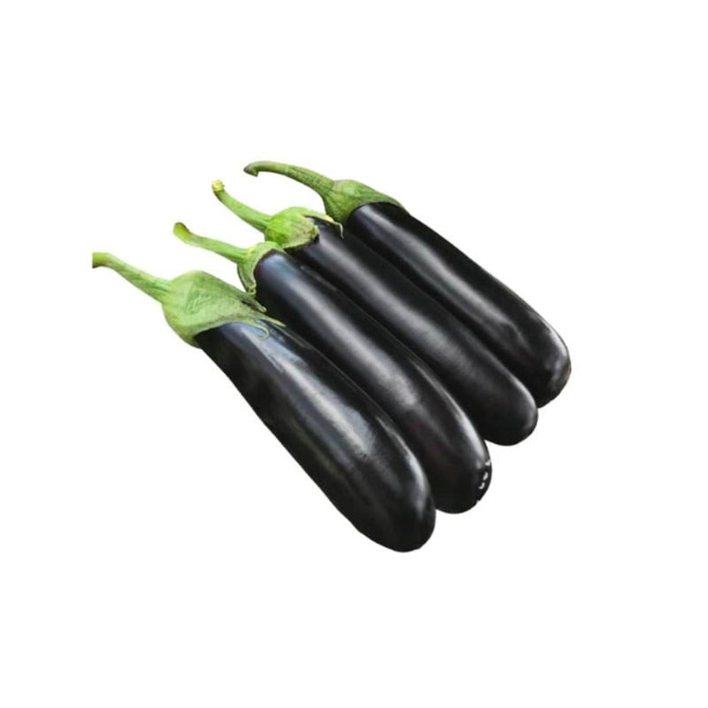 Eggplant - Long (Oman)