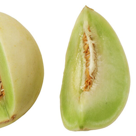 Melon - Honeydew