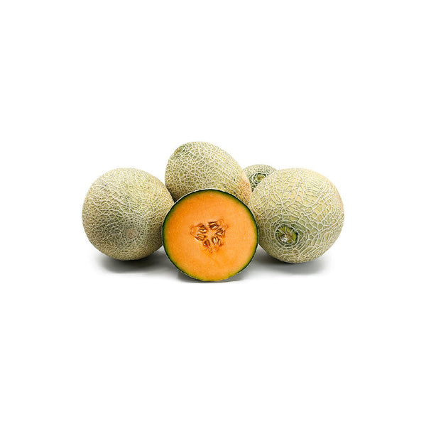 Melon - Rock Melon (Cantaloupe) (Iran)