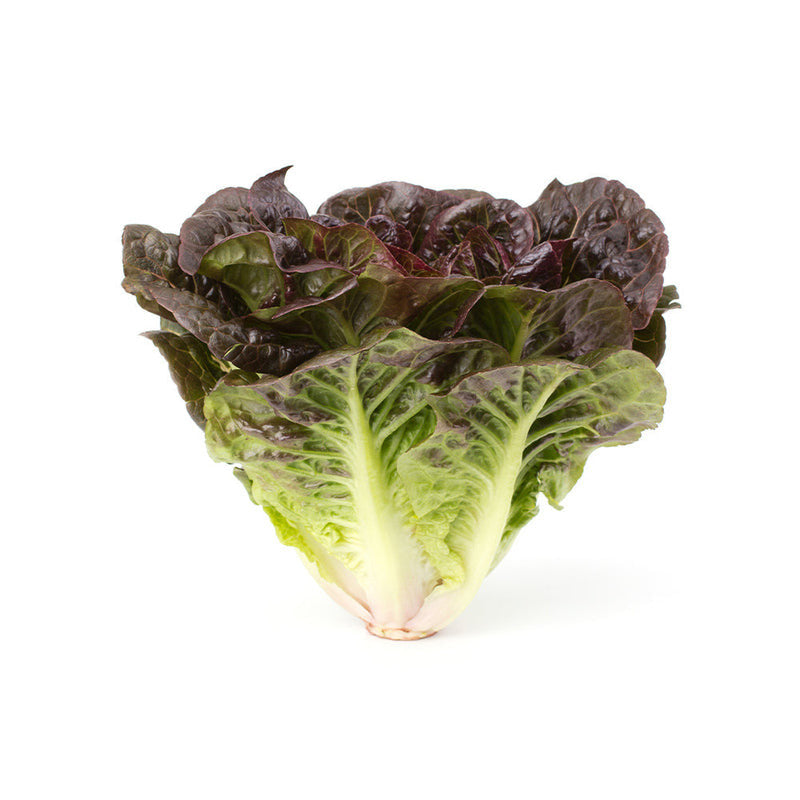 Lettuce - Oakleaf (UAE)