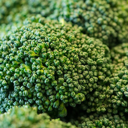 Broccoli (Organic) (GCC (country not specified))