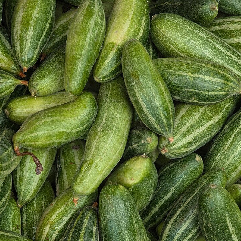Pointed Gourd (Parwal) (India)