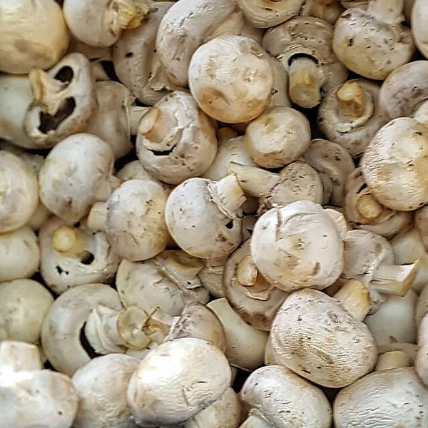 Mushroom (China)