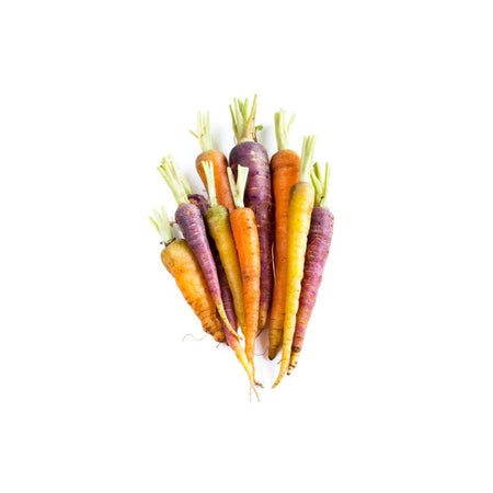 Carrot - Mini Rainbow (South Africa)