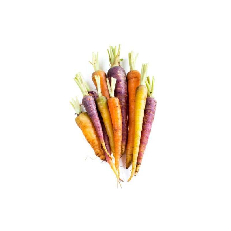 Carrot - Mini Rainbow (South Africa)