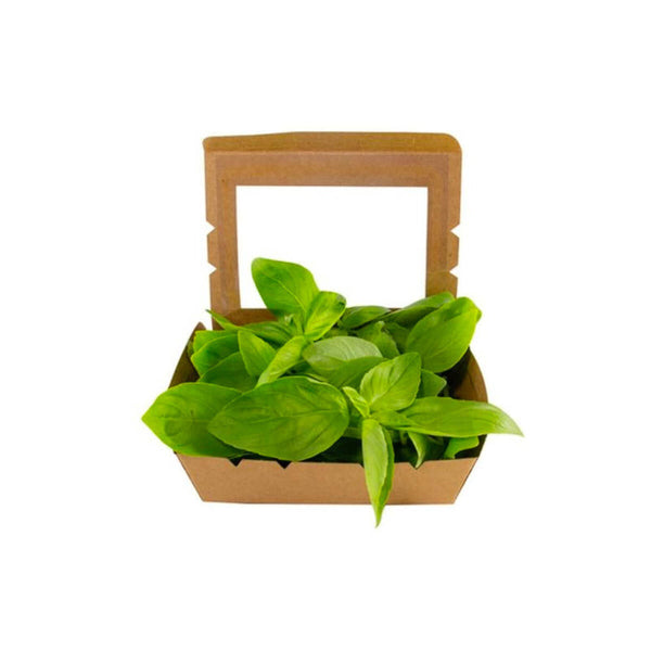 Basil Pot (live plant) (UAE)
