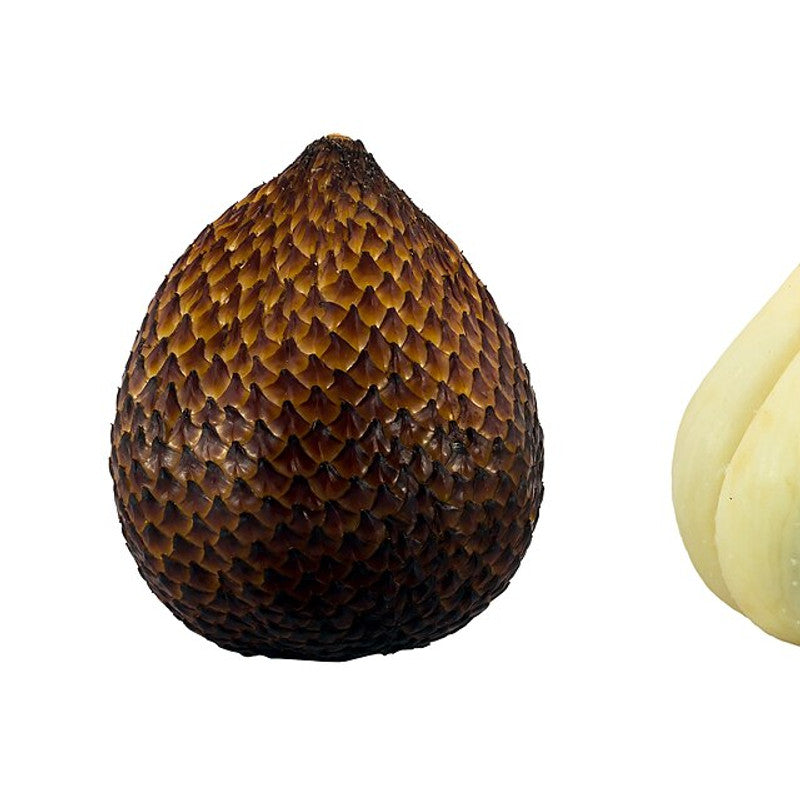 Salak (Snake Fruit) (Indonesia)