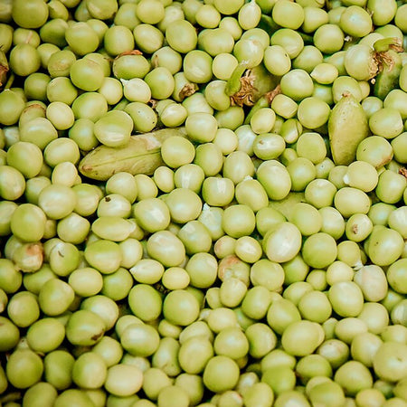Green Peas (Pakistan)