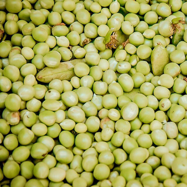 Green Peas (Pakistan)