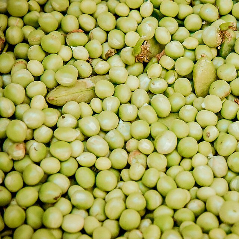 Green Peas (Pakistan)