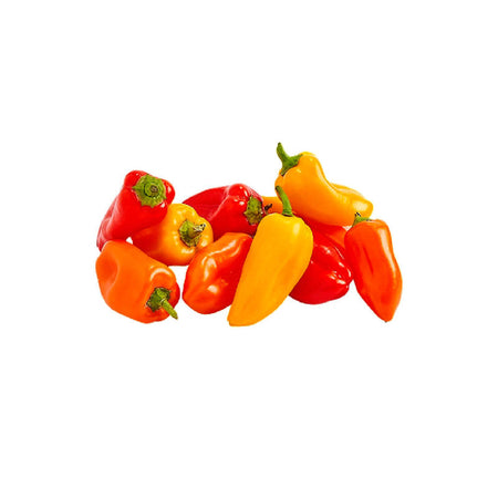 Capsicum - Mixed (UAE)