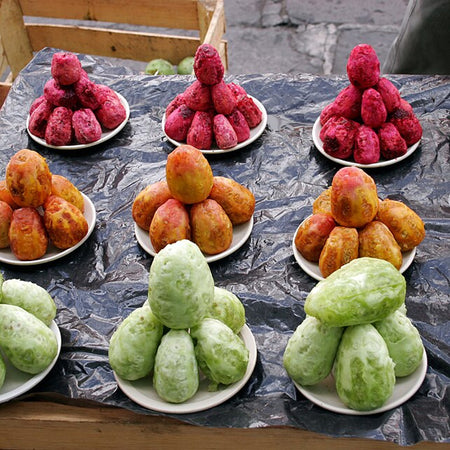 Prickly Pear (UAE)