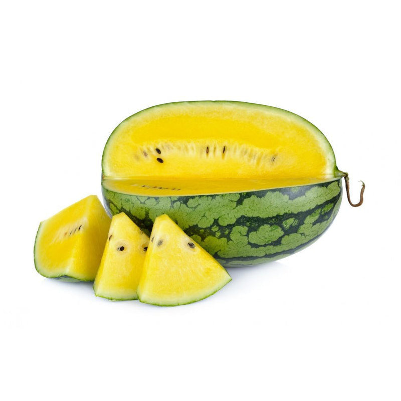 Watermelon - Yellow (Thailand)
