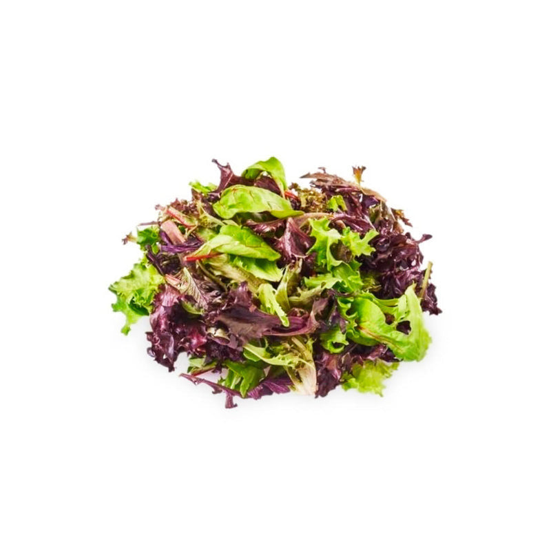 Lettuce - Lollo Bionda (UAE)