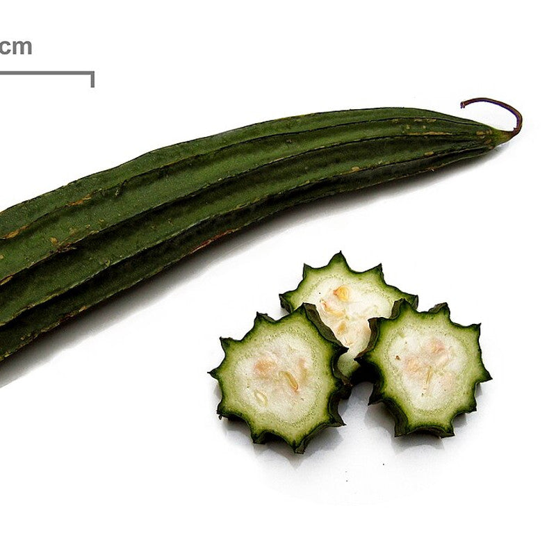 Ridge Gourd (Turai) (India)