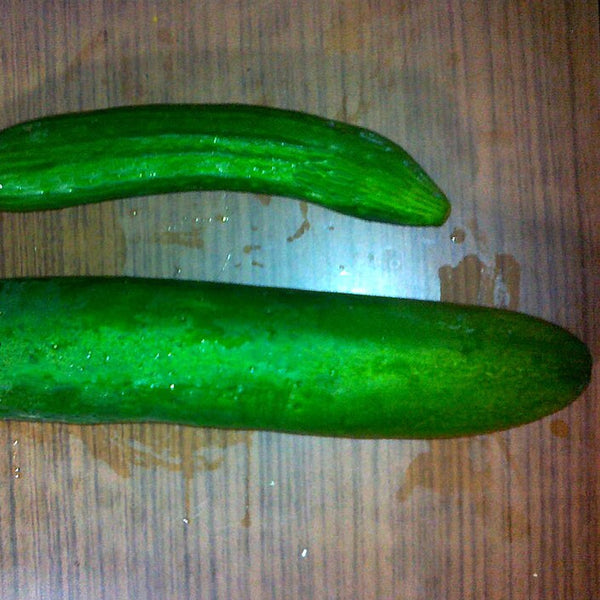 Cucumber (Organic) (India)