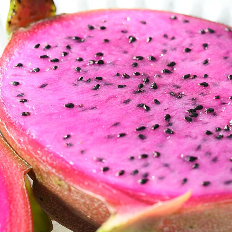 Dragon Fruit (Pitaya) - Red (Vietnam)