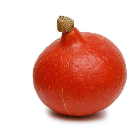 Pumpkin - Red (Organic) (India)
