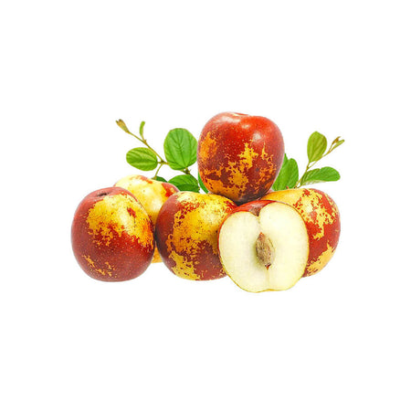 Jujube (China)