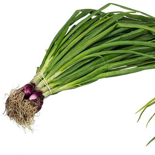 Onions & Garlic