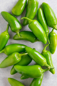 Jalapeno Chilly Premiun Quality GGC